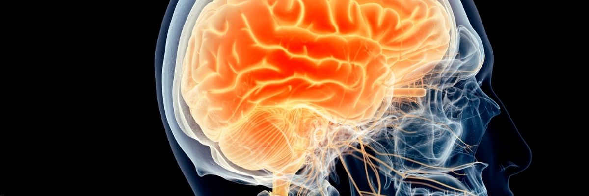 Vagus Siniri ve Sakinlik